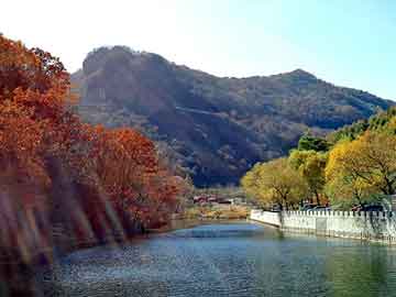 新澳天天开奖资料大全旅游团，泰州黄页